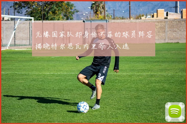 无缘国家队却身价不菲的球员阵容揭晓特尔恩瓦内里等人入选