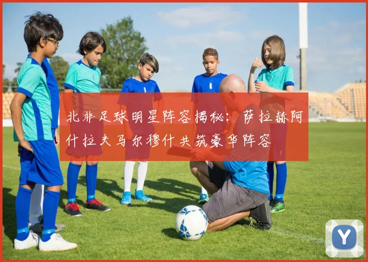 北非足球明星阵容揭秘：萨拉赫阿什拉夫马尔穆什共筑豪华阵容