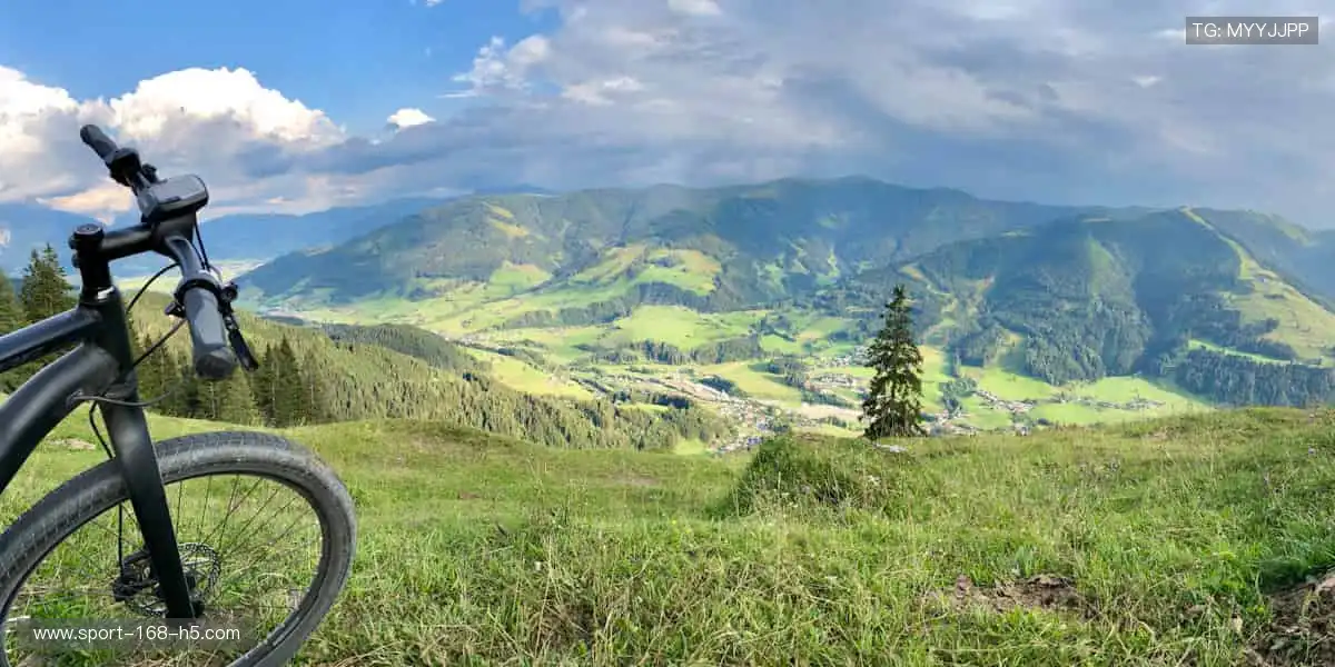 运动不止,精彩不停,官网更新你的体育日常!⏳🏃